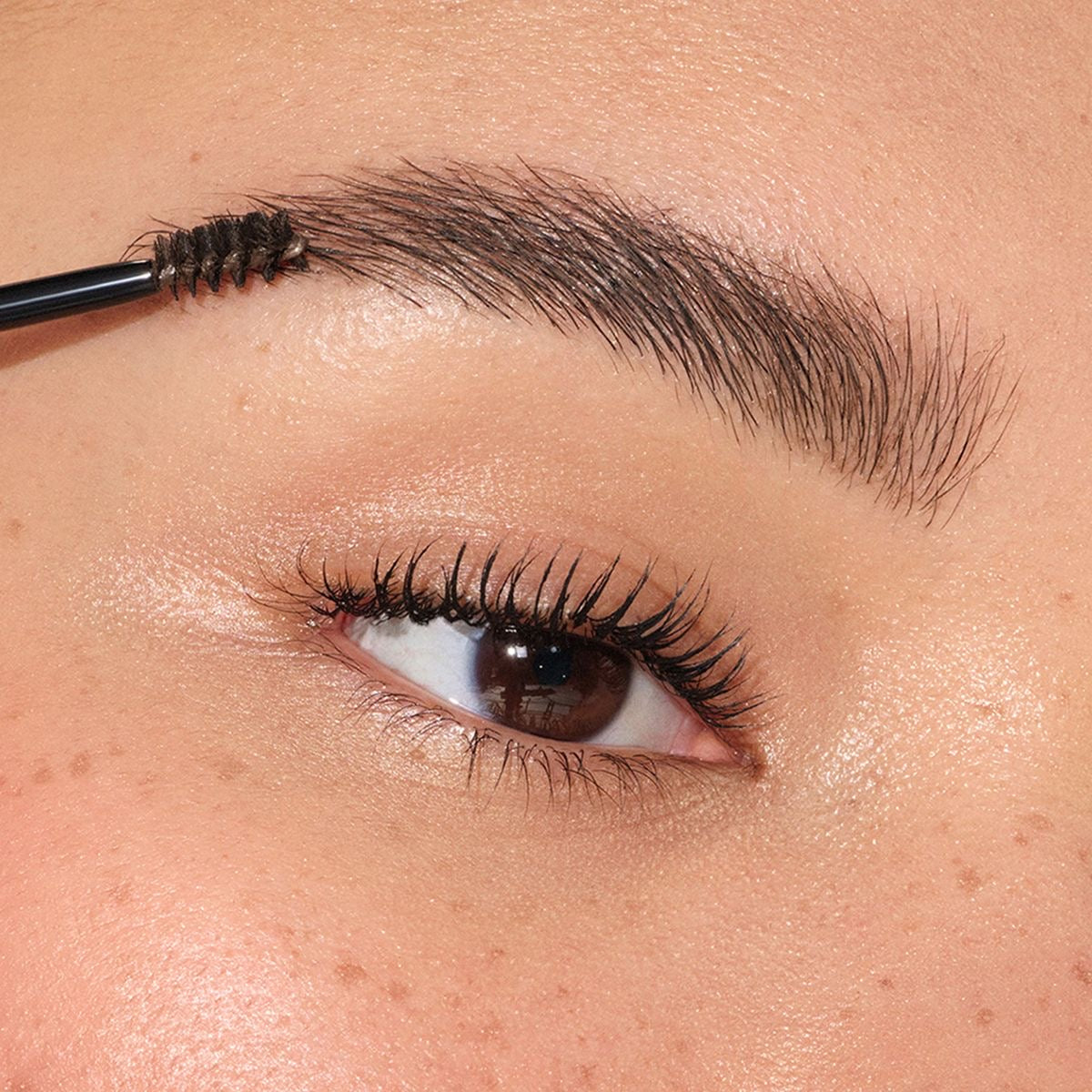 Eyebrow Growth Serum Coute